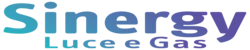 Sinergy